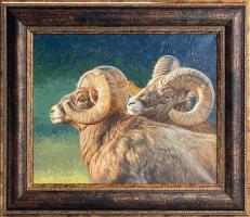 Bighorn Rams by Dallen Lambson