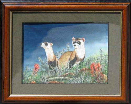 Blackfooted Ferrets by Paul Twitchell