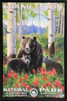 399 Grizzly - Grand Tetons #5/75 by Jennifer Johnson-Prints