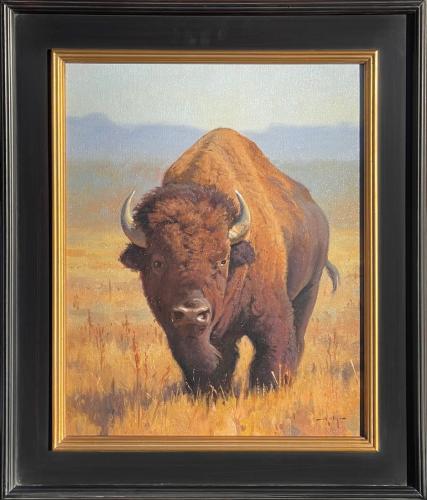 American Bison by Keith Huey