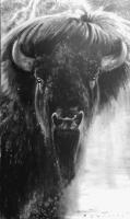 Serious Bull by Douglas Wodark