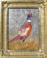 Ringneck Pheasant by Michael Romney