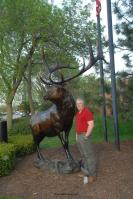 Royalty - Elk Monument  #7/8 by Karl Lansing